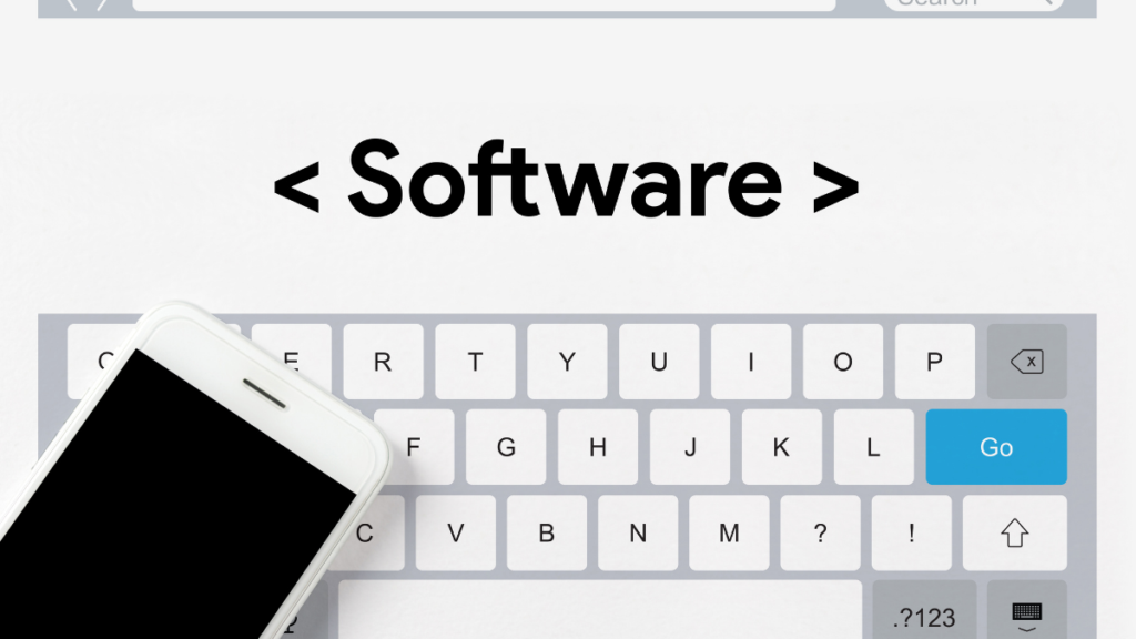 custom software development